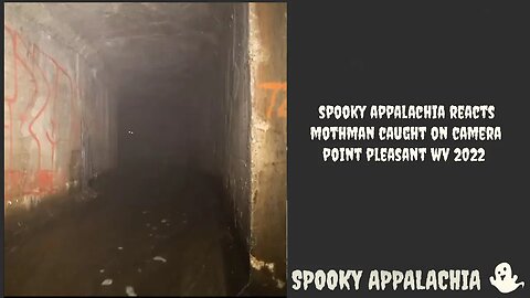 Spooky Appalachia Reacts - Possible Mothman Caught On Camera - Point Pleasant WV 2022