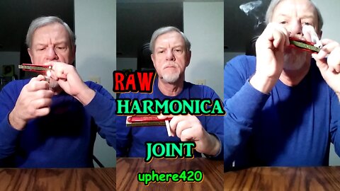 RAW Harmonica Joint