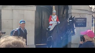 can I feed the horse no #horseguardsparade