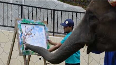 Elefante pittore estremamente talentuoso!