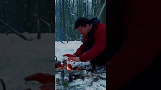 Winter Bushcraft Camp & Chaga Mushroom Tea!