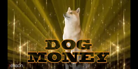 DOGE COIN RAP