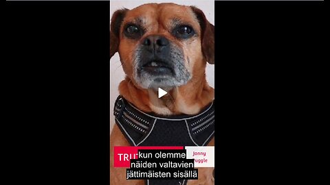 Truth Pups - Onko suunnitteilla musta joutsen? ym.