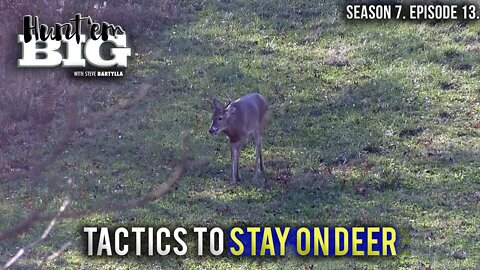 Tactics to Stay on Deer Throughout the Season