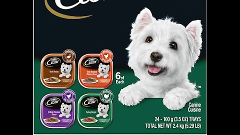 Cesar Gourmet Wet Dog Food Variety Packs – 24 Trays