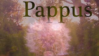 Pappus