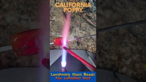 Lampwork Glass Beads: California Poppy
