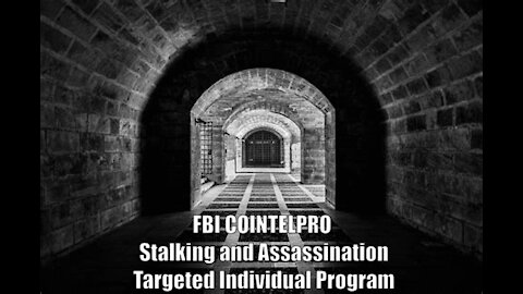 Targeted in America: The FBI Cointelpro Stalking and Assassination Program