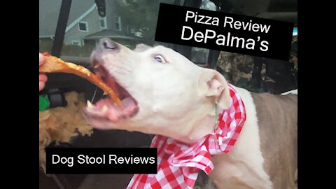 DePalma's Apizza - East Haven Connecticut