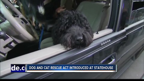 Dog and Cat Rescue Act is introduced at the statehouse