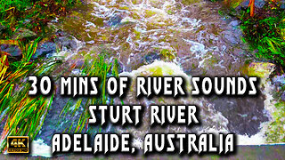 Unwind Your Mind with Tranquil River Sounds | Nature's Therapy for Stress Relief & Relaxation.