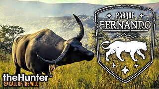 Buffalo BATTLE and Getting AROUND | Parque Fernando | theHunter: Call of the Wild