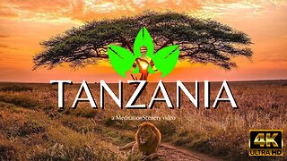 Tanzania 4k - a MeditationScenery video / 4kVideo / Enjoy!