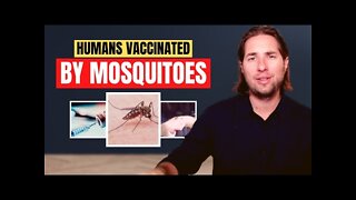 BREAKING: Researchers Use Mosquitoes To Vaccinate Humans