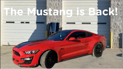 We Had To Repaint The Mustang G￼T!