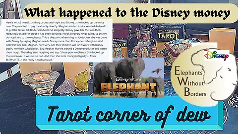 What happened to the money Disney promised Elephants without border?