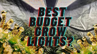 LED grow light comparison #Viparspectra #XSseries #Proseries | what's best for you?