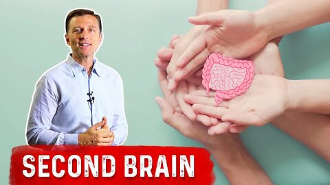 Your Second Brain Is in Your Gut