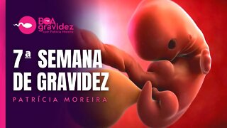 7 SEMANAS DE GRAVIDEZ - Gravidez Semana a Semana com Patrícia Moreira