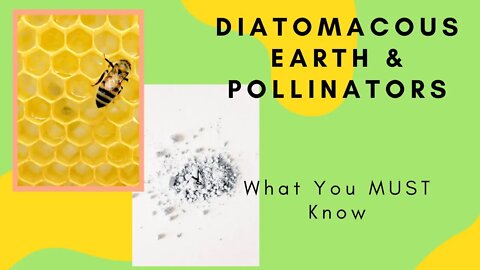 Diatomaceous Earth & Pollinators. IS IT SAFE? IT DEPENDS... WATCH THIS | Gardening in Canada 🌿