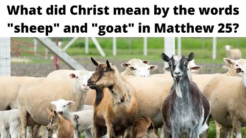 What did Christ mean by the words "sheep" and "goat" in Matthew 25?