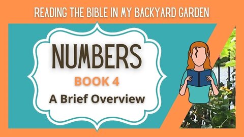 Numbers A Brief Overview - NRSV Bible