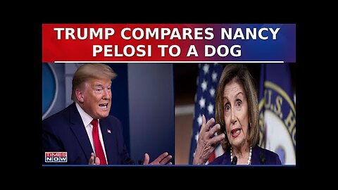 Donald Trump Compares Nancy Pelosi To 'Dog' At Michigan Rally After Assassination Attempt