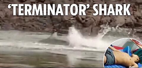 Shocking moment ‘Terminator’ shark thrashes in water after chomping swimmer’s leg off