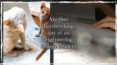 Another Boring Day of an Engineering College Student 😖 | Weekly Vlogs | Engineer in Process