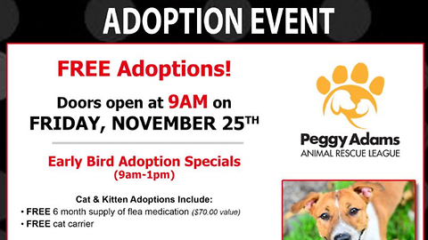Peggy Adams Animal Rescue offers Black Friday adoption deals