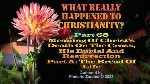 Fred Zurcher on What Really Happened to Christianity pt65
