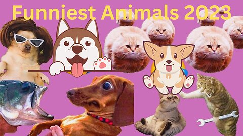 Best Funny Cats and Dogs Videos #funniestanimals #funniestanimals2023 #funniestanimalsever