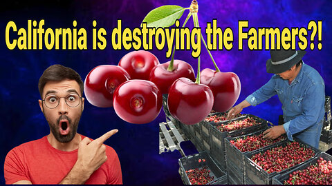 California is destroying the Farmers?!