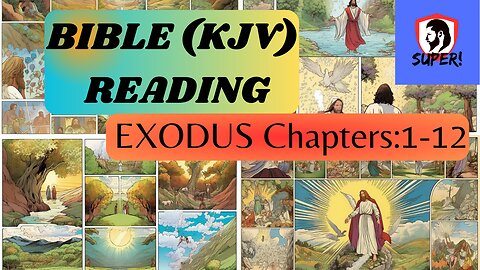 HOLY BIBLE (KJV) Reading EXODUS Chapters: 1-12.