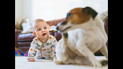 2023 AMAZING BABY AND DOG PLAYING VIDEO!