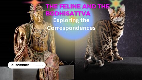 The Feline and the Bodhisattva Exploring the Correspondences
