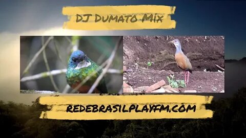 DJ Dumato Mix - spot oficial #shorts