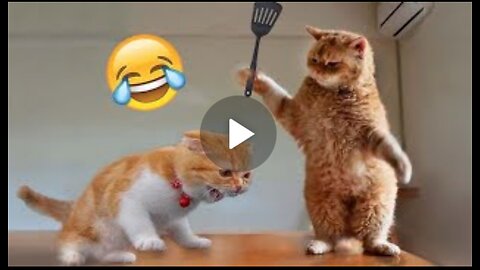 Best_Funny_Animal_Videos_of_the_year__2023_,_funniest_animals_ever._relax_with_cute_animals_video