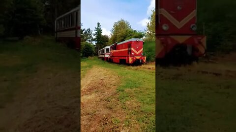 Narrow-gauge train driving carefully on old forgotten Polish tracks
