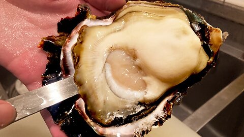 An incredible giant oyster seafood Shell dish Ocean Food Lovers