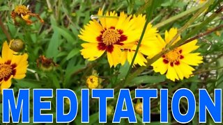 Ambient Music for Deep Relaxation and Meditation by Tera Mangala