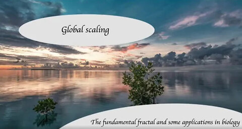 The Fundamental Fractal & the Body - How Global Scaling Impacts Biology with Dr Rainer Viehweger Ep4
