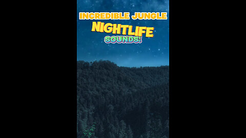 Incredible Jungle Nightlife