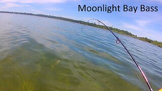 Moonlight Bay Bass