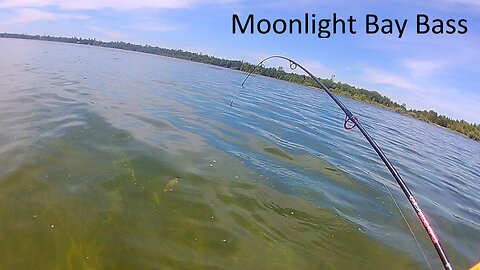 Moonlight Bay Bass