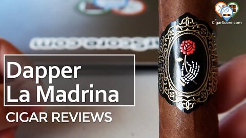 YOU Might Like This DAPPER La Madrina Toro - CIGAR REVIEWS by CigarScore