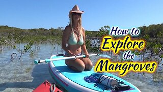 SDA107 How to Explore the Mangroves
