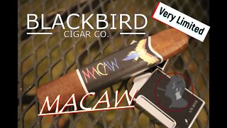 Blackbird Cigars The Macaw, Jonose Cigars Review