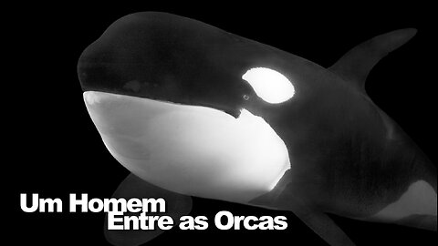 Um Homem Entre as Orcas | A Man Among the Orcas | Documentary | Documentário | Jornalismo Verdade