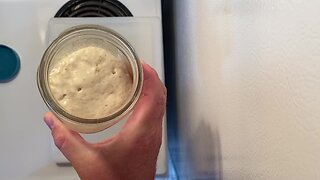 Sourdough Starter Information